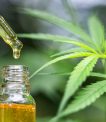 Here is what you need to know about CBD