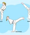 Get The Best Karate Training Module Here