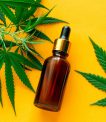 Find out how good the customer service is when you dare to Buy CBD flowers (CBD blütenKaufen) online
